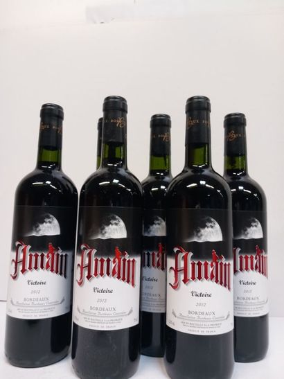 6 bouteilles de Bordeaux Rouge 2012 Amain...