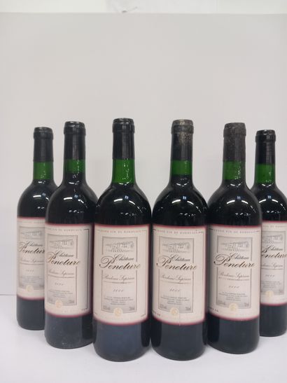 6 Bouteilles du Château Peneture 2000 Grand...