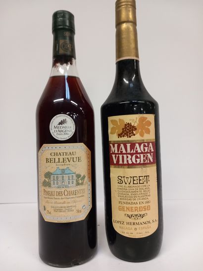 Lot de 2 Vieilles bouteilles: 
1 Pineau des...