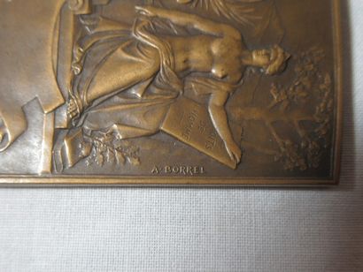 Médaille en bronze, d'après Borel. Xxe. 5...