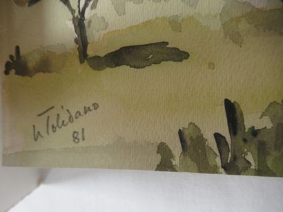 TOLEDANO 