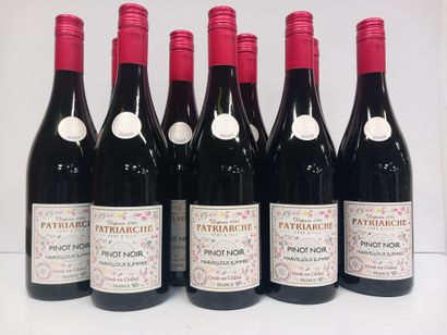 9 Bouteilles de Pinot Noir 2020 Patriarche...