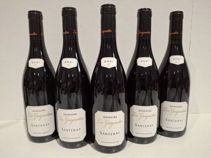 5 bouteilles de Santenay Domaine des Guignottes...