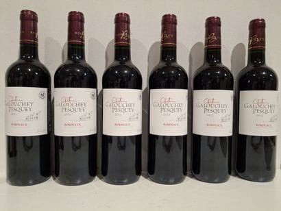 6 bouteilles de Château Galouchey 2023 -...