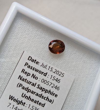 Saphir Padparadscha, 1,536 carat. Provenance...