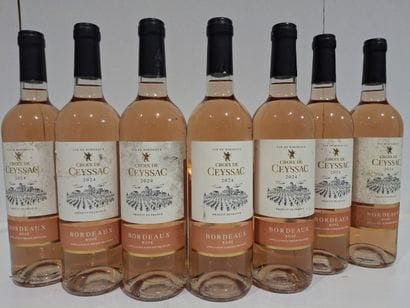 7 bouteilles de Bordeaux Rosé 2024 -Château...
