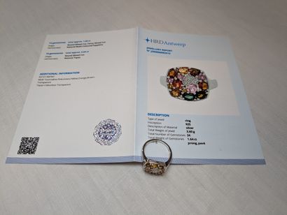Bague en argent, sertie de saphirs multicolores...