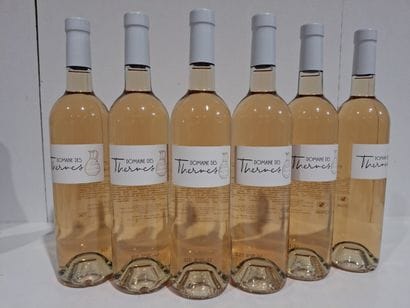 6 bouteilles de Domaine des Thermes 2023...