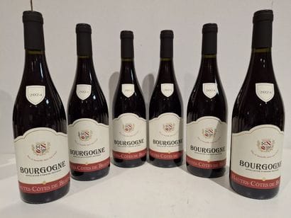 6 bouteilles de Bourgogne Hautes Côtes de...