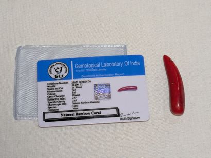 Element de corail. 32,2 carats. Long.: 5...