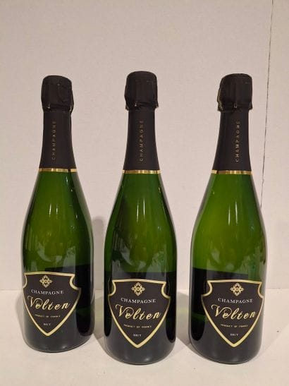 3 Bouteilles de Champagne Volten Brut