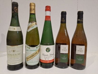 5 bouteilles de vins blancs divers (en l...