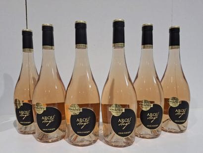 6 bouteilles de vin Rosé les Arqu'ange 2022...
