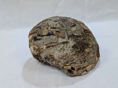 Géode d'agate, cristaux de quartz. 8x14c...