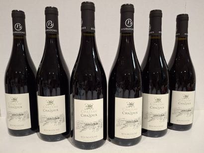 6 bottles of 2023 Pinot Noir - Château de...