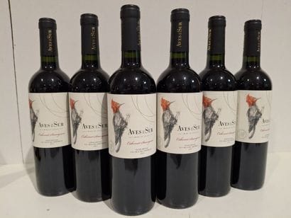 6 bottles of 2021 Cabernet Sauvignon - Aves...