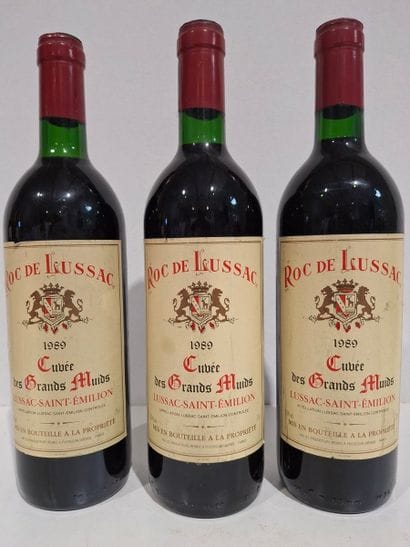 3 bottles of Lussac Saint-Émilion 1989 -...