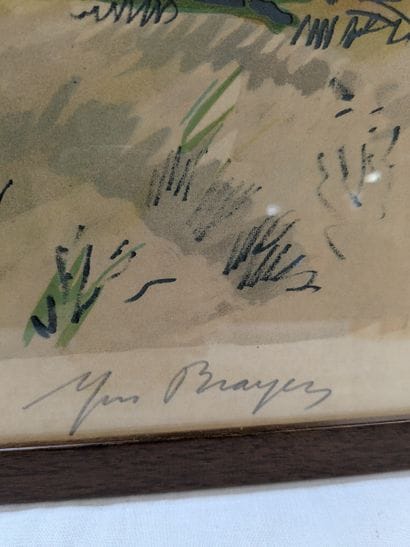 D'après Yves BRAYER 