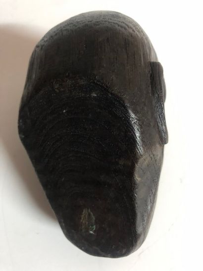 Tête humaine grimaçante en ébène sculpté...