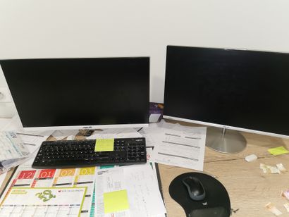 Lot informatique comprenant :
2 Ecrans Asus,...