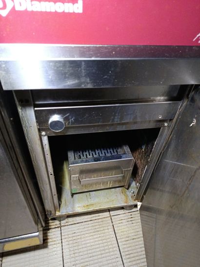 Friteuse électrique Fryers Line Diamond,