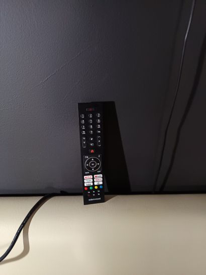 Téleviseur EDENWOOD avec télécommande