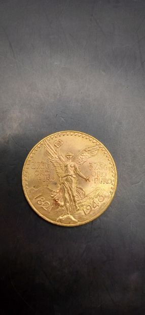 Pièce or de 50 Pesos Mexicains
Poids 41,64g
LES...