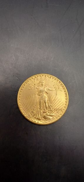 Pièce or de 20 Dollars, année 1924
Poids...