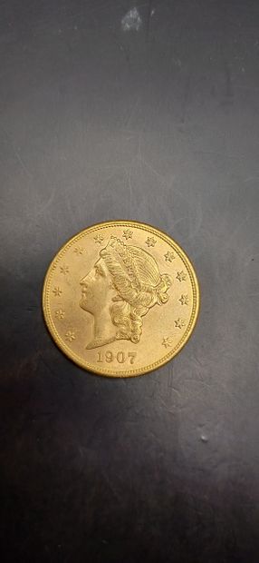 Pièce or de 20 Dollars, année 1910
Poids...