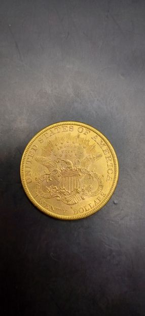 Pièce or de 20 Dollars, année1907
Poids 33,44g
LES...