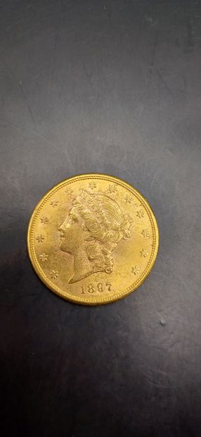 Pièce or de 20 Dollars, année1907
Poids 33,44g
LES...