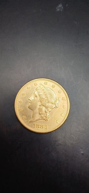 Pièce or de 20 Dollars, année 1883
Poids...