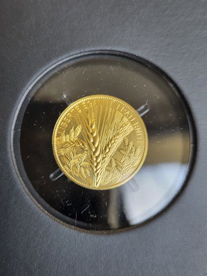 250 € 999/1000 gold coin, year 2022 series...