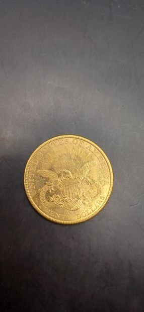 Pièce or de 20 Dollars, année 1900
Poids...