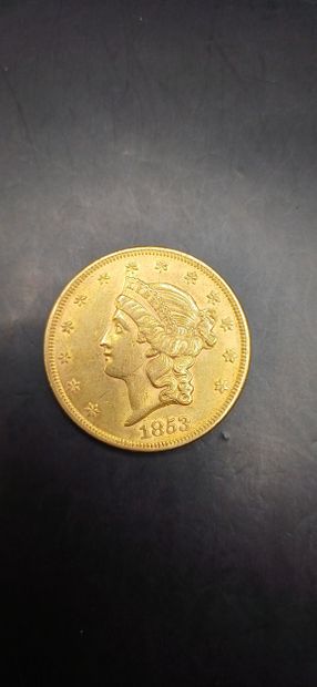 Pièce or de 20 Dollars, année 1853
Poids...
