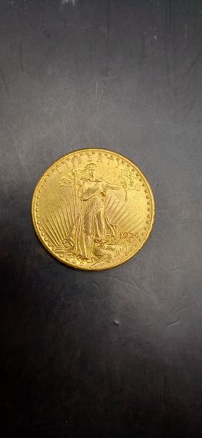 Pièce or de 20 Dollars, année 1924
Poids...