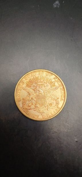 Pièce or de 20 Dollars, année 1894
Poids...