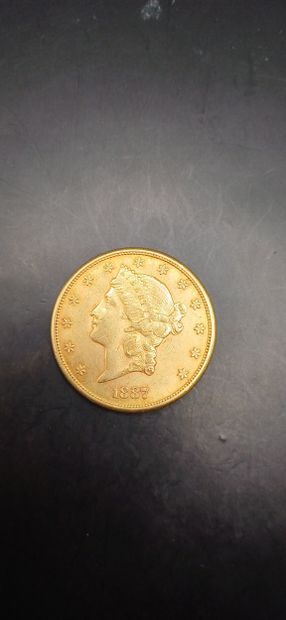 Pièce or de 20 Dollars, année 1887
Poids...