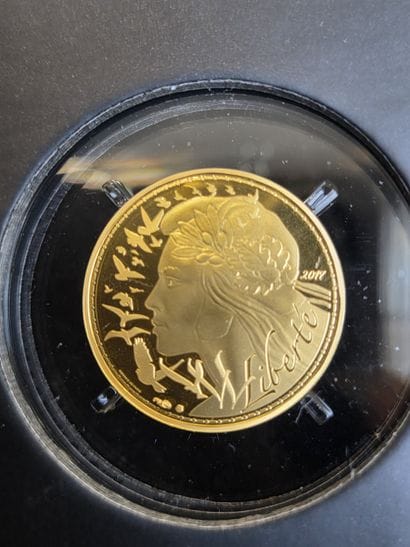 Gold coin 999/1000 of 250€, year 2017 