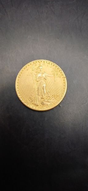 Pièce or de 20 Dollars, année 1924
Poids...