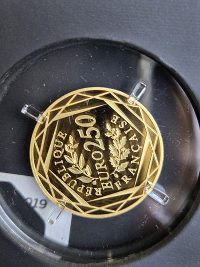 999/1000 gold coin, €250, year 2019 