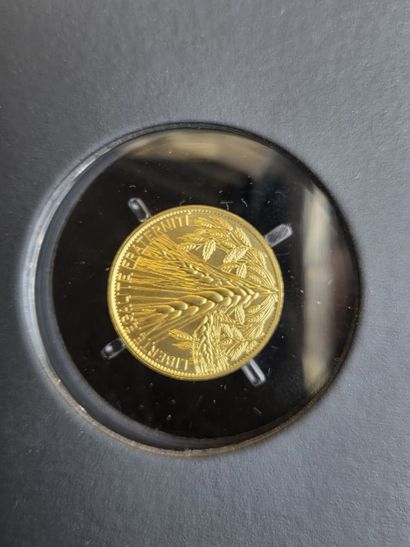 250 € 999/1000 gold coin, year 2022 series...
