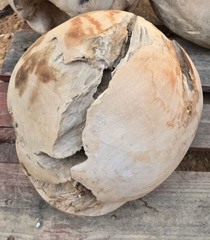 Boule racine de teck D25cm