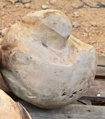Boule racine de teck D25cm