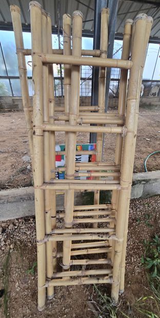 6 Echelles Bambou 160cm