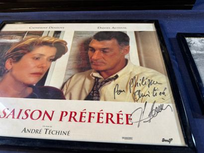 Lot of 7 photos hand-signed by actresses...