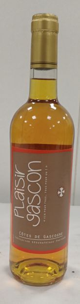 1 bottle Côtes 
 DGascogne Soleil d'Octobre...