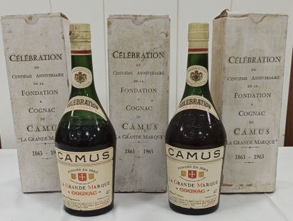3 bottles 
Cognac Camus 