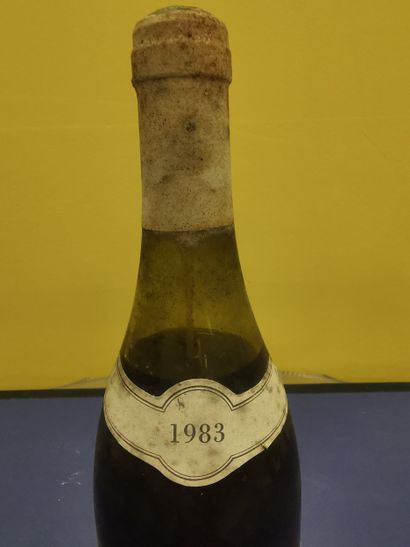 Burgundy 
Chassagne Montrachet
Maison Bichot...