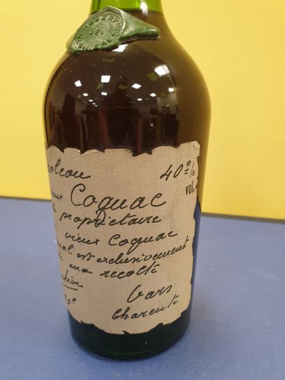 1 bottle of Vieux Cognac Napoléon
Domaine...